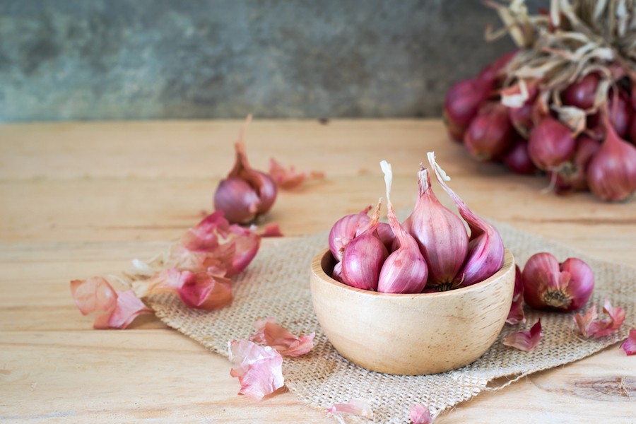 Bawang merah sebagai obat alami balita