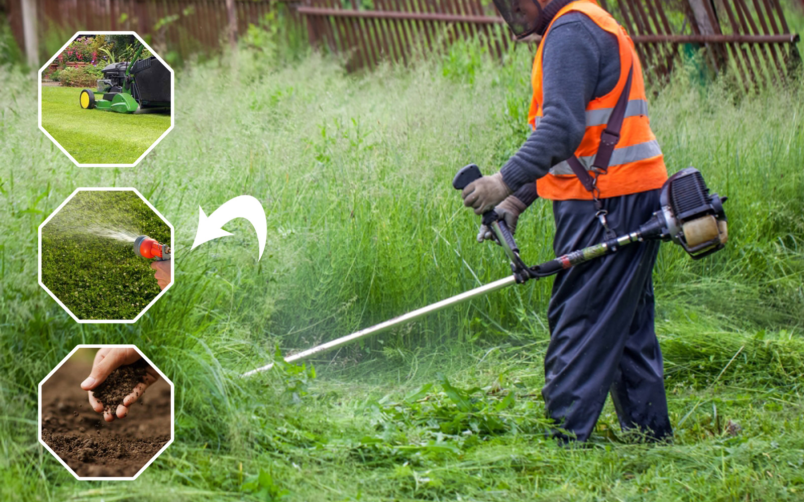 7 Kesalahan Umum dalam Merawat Rumput yang Dilakukan Pemula